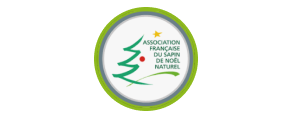 O Vent Des Sapins Sapi De Noel Sur Les Essarts En Bocage. Group 67