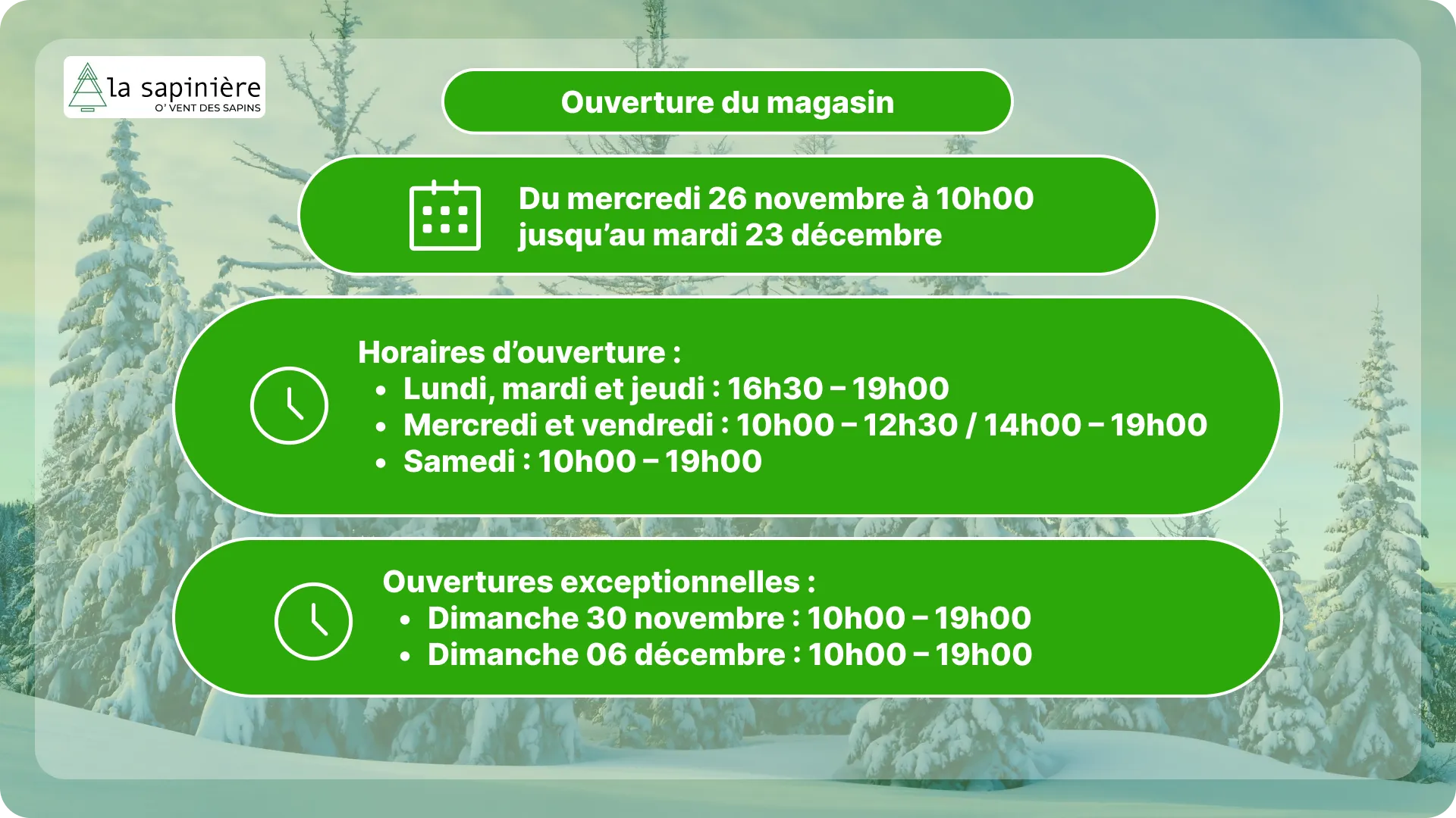 O Vent Des Sapins Sapi De Noel Sur Les Essarts En Bocage. Frame 3894